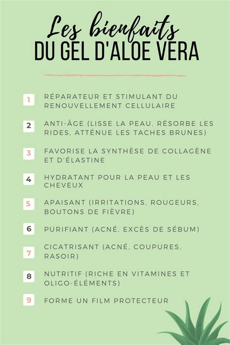 Aloe vera ses bienfaits et propriétés Aloe vera pour la peau Aloe