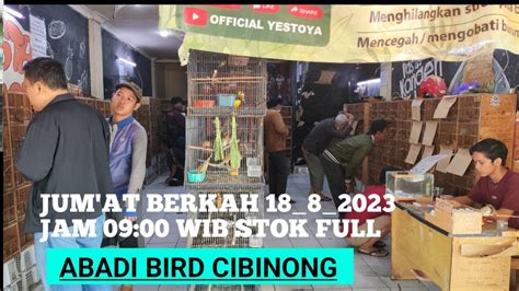 Update Stok Burung Bahan Jum At Berkah Jam Wib