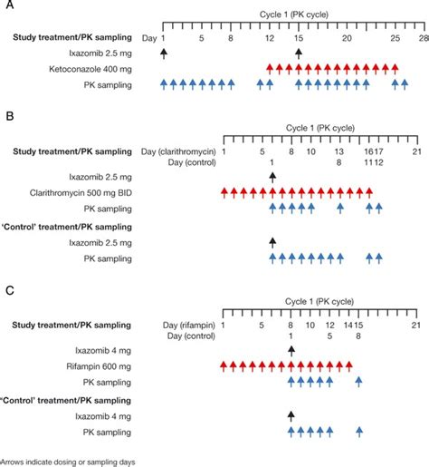 Effects Of Strong CYP3A Inhibition And Induction On The