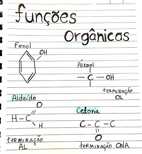 Mapa Mental Sobre Fun Es Org Nicas Maps Study