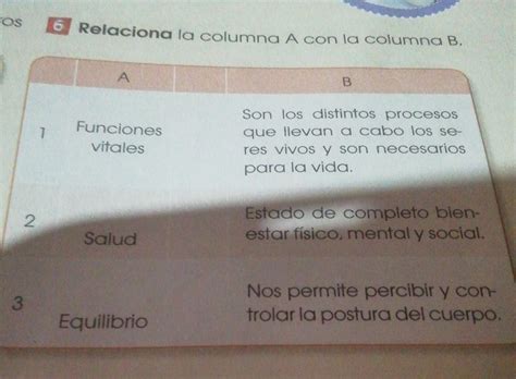 6 Relaciona La Columna A Con La Columna B Brainly Lat