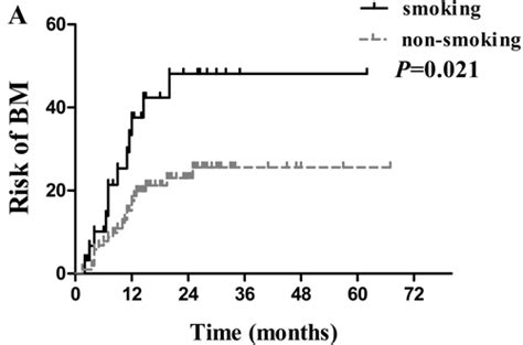 Risk Factors Of Brain Metastasis During The Course Of Egfr Tkis Therapy For Patients With Egfr