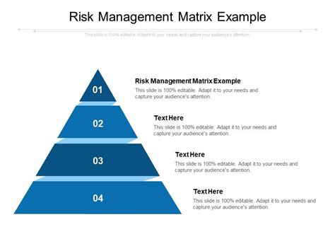 Risk Management Matrix Example Ppt PowerPoint Presentation Portfolio Inspiration Cpb