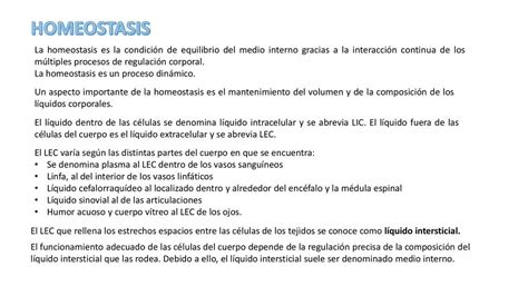 Homeostasis Ediluis Udocz