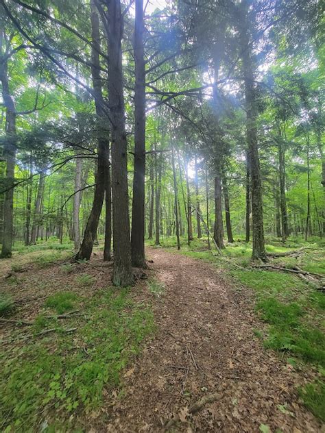 Anvil Lake National Recreation Area Mountain Biking Trails | Trailforks