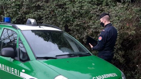 Bilancio Attivit Carabinieri Forestali In Liguria