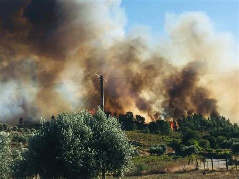 Incêndios Número de fogos reduzido em mais de metade em seis anos