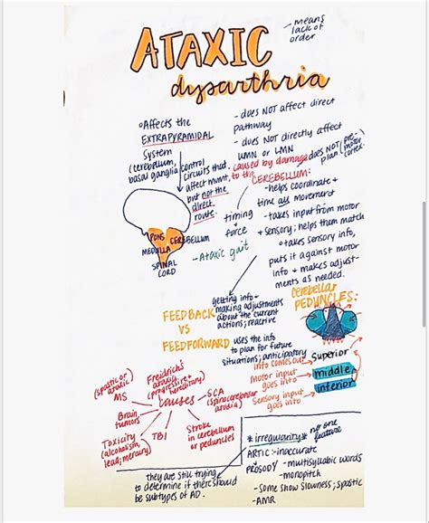 Ataxic dysarthria | Profesor