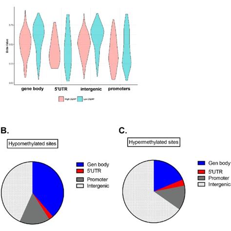 Spatial Distribution Of Differentially Methylated Cpgs Dmcs And