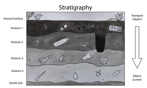 Stratigraphy Diagram Final Edit – Max Wallace Illustration