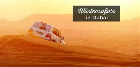 7 besten Wüstensafari in Dubai Tipps Wüstentour 2024 Desert