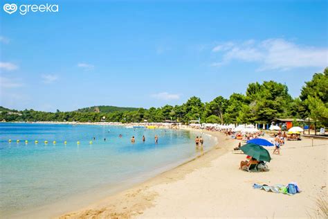 Photos Of Skiathos Koukounaries Page 1