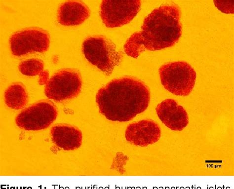 Figure 1 From Cytoprotective Effects Of Ginsenoside Rd On Apoptosis