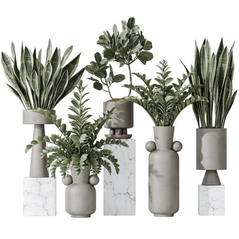 ArtStation - Indoor plant set 05 | Resources