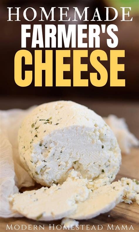 Homemade Farmer S Cheese Recipe Modern Homestead Mama In