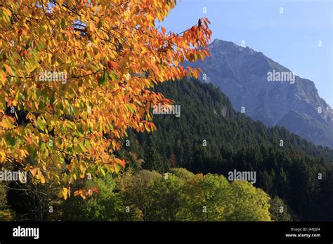 Berg Nebelhorn Fotos Und Bildmaterial In Hoher Aufl Sung Alamy