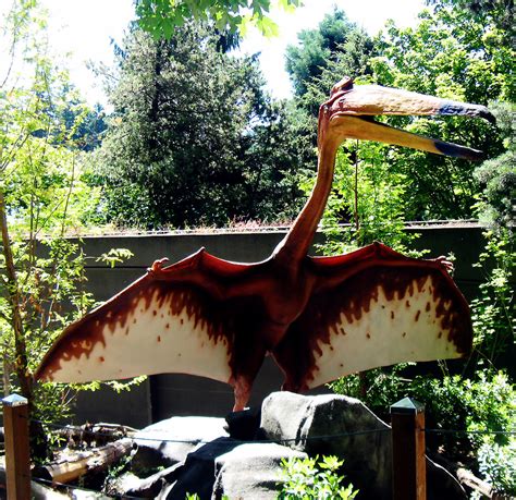 Quetzalcoatlus The Largest Flying Animal Ever Known Aweso Flickr