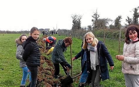 À Milizac Guipronvel les élèves de lécole Marcel Aymé plantent des