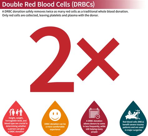 Types of Blood Donations – Stanford Blood Center