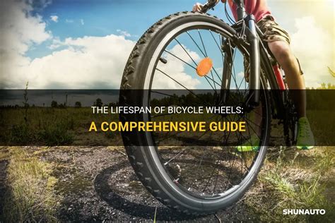 The Lifespan Of Bicycle Wheels A Comprehensive Guide Shunauto