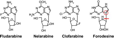 Structures Of Purine Nucleoside Analogs Notes Forodesine Is A Member