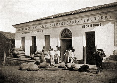 União dos Palmares a Terra da Liberdade História de Alagoas