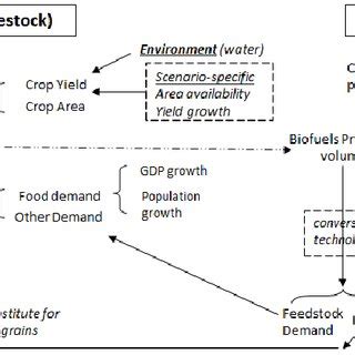 Schematic of quantitative modeling components. | Download Scientific ... 