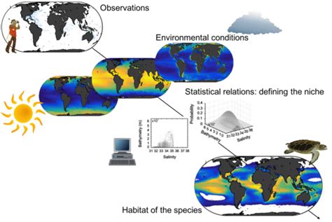 Global Spatial Distribution Of Marine Species And Diversity In The