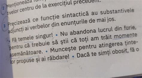 Precizeaza Ce Functe Sintactica Au Substantivele Ajuncti Ai Verbelor