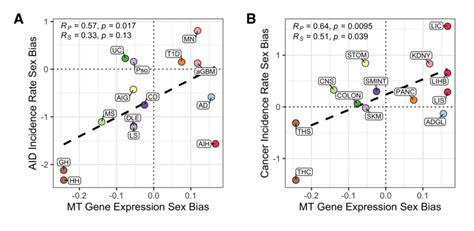 Mitochondrial Gene Expression Is A Strong Correlate Of Sex Biases In