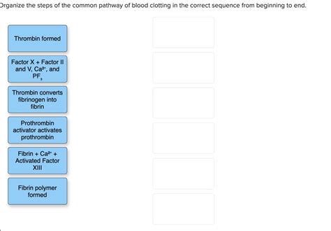 Blood Clotting Pathway Diagram Quizlet