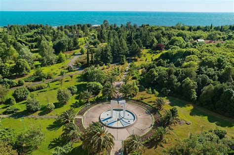 Фото Пицунды (99 фото)