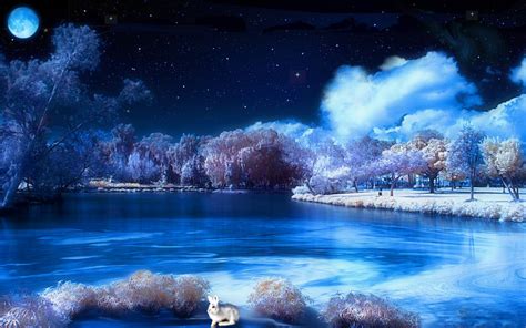 Winter's Night | Wallpaper Zone