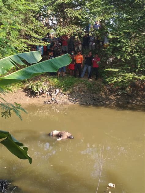 Cirebon Digegerkan Adanya Penemuan Sesosok Mayat Laki Laki Yang