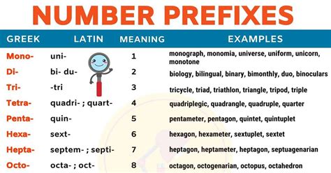 List of Common Number Prefixes in English – My English Tutors