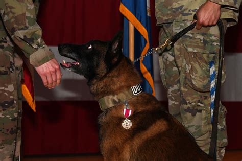 DVIDS Images 354th SFS MWDs Retire Image 2 Of 5