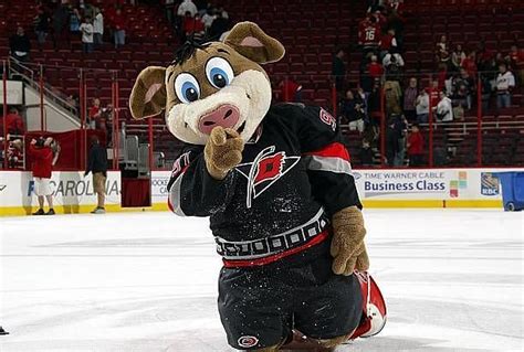 Who is Carolina Hurricanes Mascot Stormy The Ice Hog?