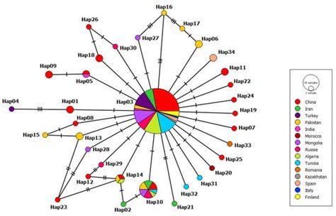 Pathogens Free Full Text In Silico Evaluation Of The Haplotype