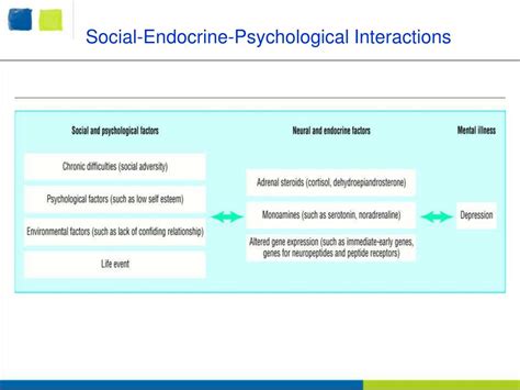 Ppt The Practical Management Of Depression Powerpoint Presentation