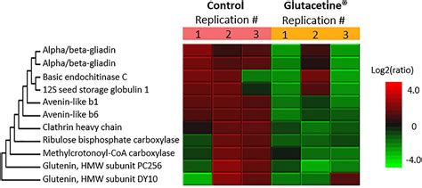 Frontiers Biostimulant Effects Of Glutacetine® And Its Derived