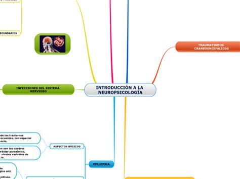 IntroducciÓn A La NeuropsicologÍa Mapa Mental