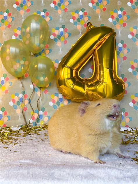 happy birthday pooh bear 5