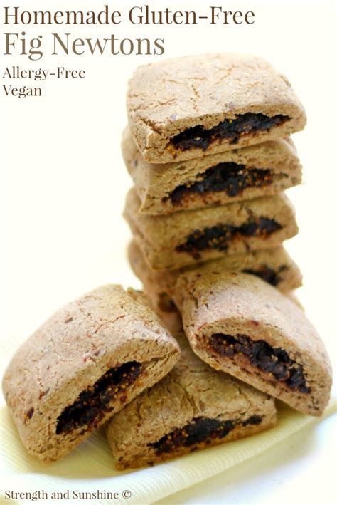 Recipes Using Fig Newtons