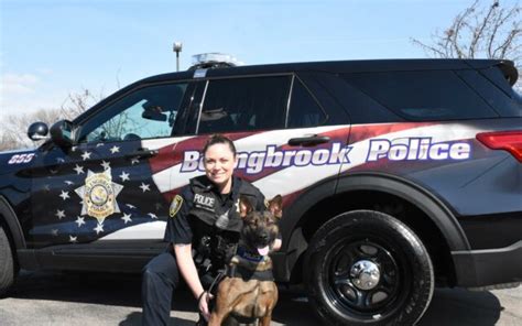 Bolingbrook Police Departments K9 Ava To Get Donation Of Body Armor