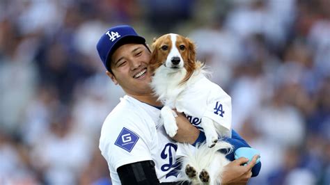 Shohei Ohtani's dog Decoy delivers first pitch | 08/28/2024 | Los ...