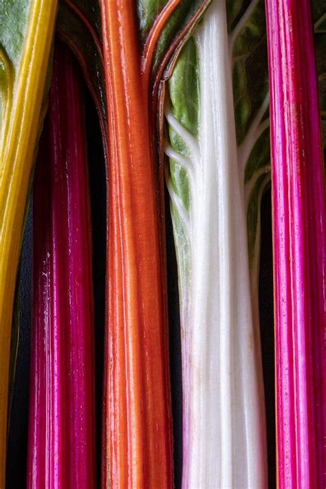 Kleurrijke Regenboog Snijbiet L Food Fotografie Van Lizzy Komen Op