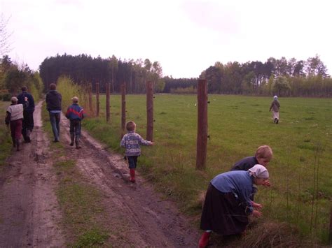 visit   polish amish amish america
