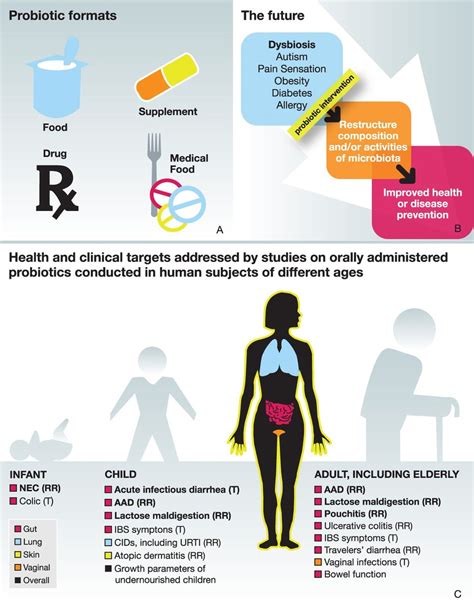 An Update On The Use And Investigation Of Probiotics In Health And