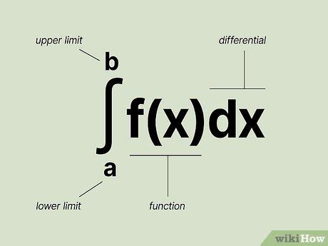 How To Find The Area Under A Curve Instructions Examples