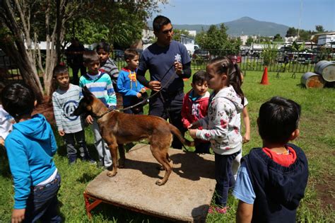 Ssp Enseña A Niños En Materia De Prevención Del Delito